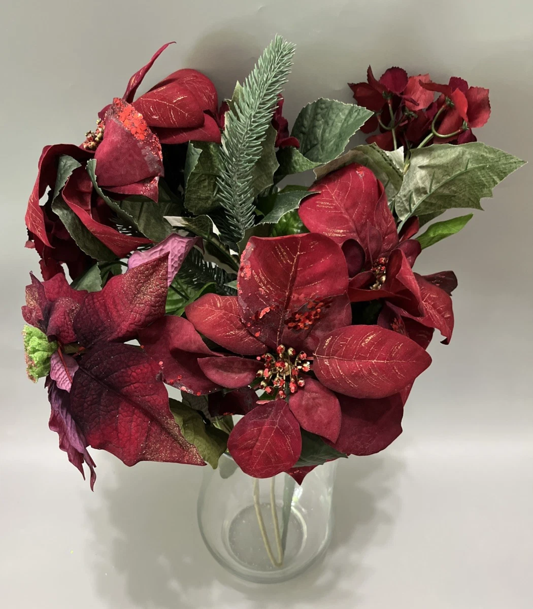 Imágenes De Flor Poinsettia - Descarga Gratuita En