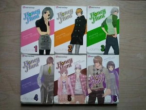 Honey Hunt 1-6, serie manga shojo completa, inglese, 16+, Miki Aihara - Foto 1 di 3