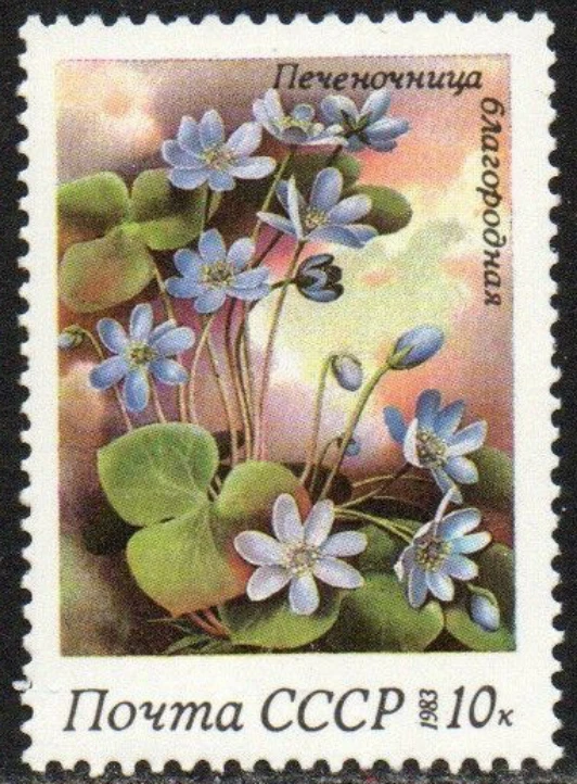 Russia #Mi5280 MNH 1983 Spring Flowers Anemone Hepatica [5150] - Image 1 of 1
