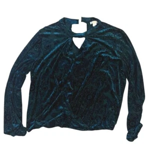 🌟FREE SHIPPING🌟 Medium Velvet Blouse - Picture 1 of 4