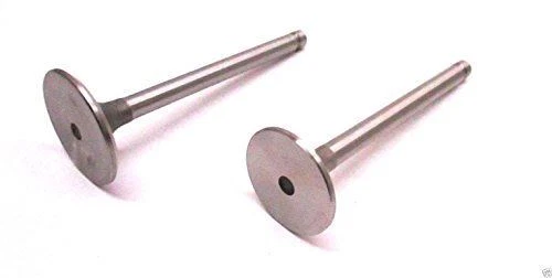 Kohler 24-017-01-S Intake Valve