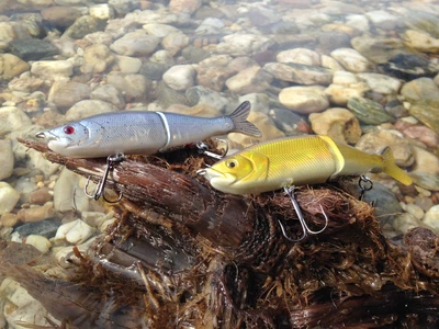 JACKSON Real Jerk Jerkbait Wobbler - Swimbait für Hecht Zander Barsch & Co. !!!