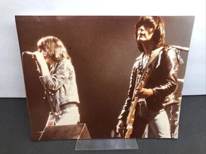 JOEY & JOHNNY RAMONE RARE 8x10 PHOTO VINTAGE 1984 ROCKTOGRAPHY ON KODAK - Picture 1 of 5