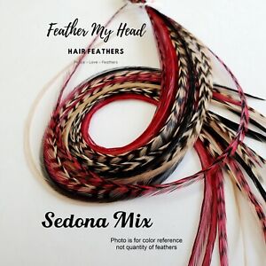 Feather Hair Extensions, 6 Pc, Optional Kit, Short - Mega Long, Sedona Mix
