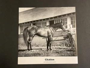 CITATION photo Horse Racing 1948 TRIPLE CROWN - Picture 1 of 1