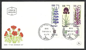 1970 FDC ISRAELE ANNIVERSARIO DELLO STATO CON APPENDICE - NO TIMBRO ARRIVO - Picture 1 of 1