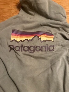 Patagonia Front Zip Hooded Long Sleeve Lightweight Sweatshirt Men XXL Green - Bild 1 von 7