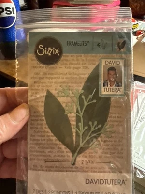 Sizzix Framelits David Tutera 2 Dies Eucalyptus 562403 - Image 1 of 2