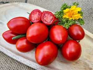 Baumtomate - Eiertomate rot außergewöhnlich guter Geschmack sehr ertragreich TOP - Bild 1 von 3