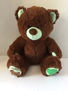 Build a Bear Girl Scout Thin Mint Bear - 12" tall - Soft - Picture 1 of 5