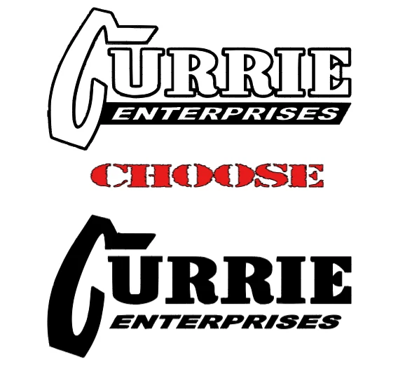 LOSI  CURRIE  DIE-CUT  Decal   Sticker  ( 2 PCS )   RC Truck NEW - Image 1 of 1