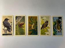 1966 Brooke Bond (Red Rose Tea) Canadian/American Songbirds USA Lot Of 5 Cards