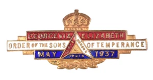 Vintage Order Sons Temperance King George V 1937 Coronation Enamel Brooch Badge - Picture 1 of 2