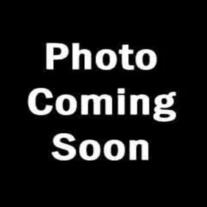 TDK CD-R80 Metallic 700MB New Sealed x 2 - Afbeelding 1 van 2