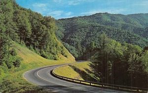 Postkarte TN: US 441, Great Smoky Mountains NP, Tennessee - Bild 1 von 2