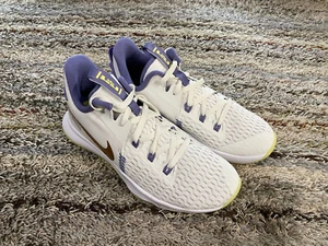 Nike LeBron Witness 5 Summit Bianco Bronzo Metallizzato 2021 Uomo Taglia 11 Lakers - Foto 1 di 5