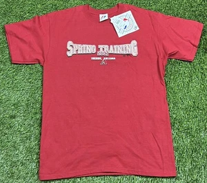 NWT'S 2007 Majestic Arizona Diamondbacks Spring Training MLB T-Shirt Men's L - Picture 1 of 7