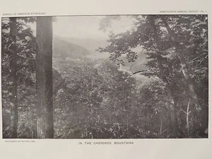 In The Cherokee Mountains North Carolina  1900 Original Print - Picture 1 of 2