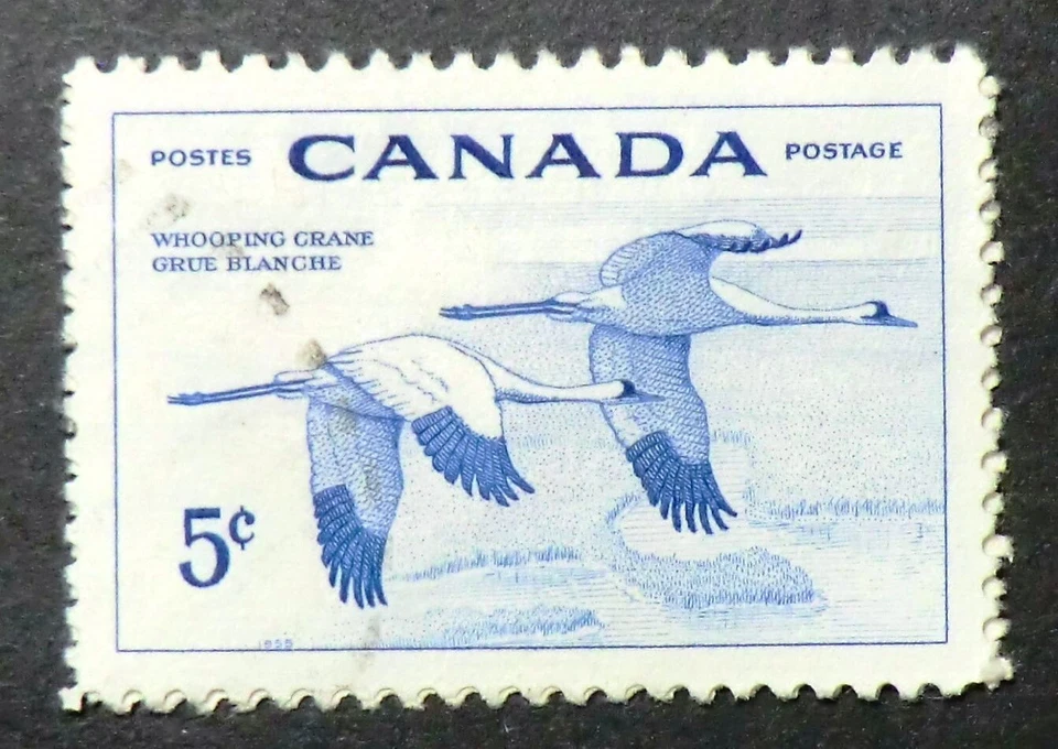 Canadá 353 usado 1955 5c grúa criada vida silvestre semana luz cancelar Foto 1 de 1