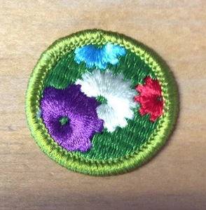 BOY SCOUTS MACHINERY MERIT BADGE TYPE H NEW "BLUE" BACKING - Picture 1 of 4
