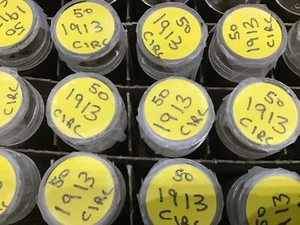 1913 Lincoln Wheat Cent Roll of 50 Coins Avg Circ G-F E1308 - Picture 1 of 11