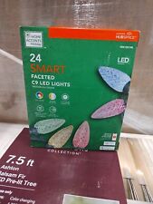 HOME ACCENTS HOLIDAY 24 Smart FACETED C9 LED COLOR CHANGING  APP LIGHTS 