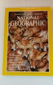 SEPT 1991 NATIONAL GEOGRAPHIC SOCIETY / SHAMEFUL HARVEST /MAYA ARTISTRY/ SPIDERS - Imagen 1 de 6