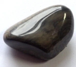 COTHAM MARMOR TROMMELSTEIN - 2,7 x 1,7 cm 8,79 gms #20 - Stromatolithe UK - Bild 1 von 4