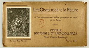 SV028_008 Stereoviews Set of 12 Collection of Our Birds by Adolphe Burdet, - Picture 1 of 3