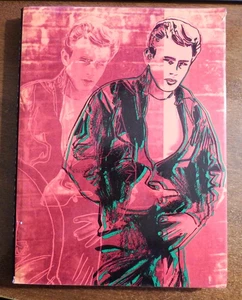 James Dean AMERICAN ICON 1st Edition Cover By Andy Warhol Hardcover Dust Jacket - Picture 1 of 6