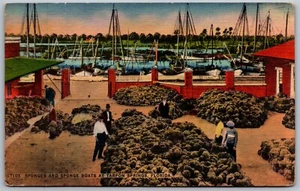 Vtg Tarpon Springs Florida FL Sponges Sponge Boats Docks 1930s View Postcard - Imagen 1 de 2