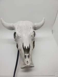 Wanddekor Kunstkuhschädel 11""x10"" ganz weiß glasiertes Horn Bull Schädel Licht entfernt - Bild 1 von 10