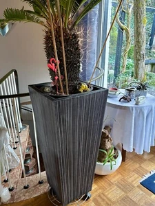 ⭐ Pflanzkübel edel | Fiberglas | Säule | konisch | 40x40x90cm | schwarz & silber - Bild 1 von 4