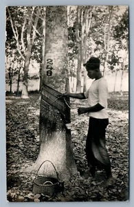 POSTAL FOTO REAL DE COLECCIÓN SUMATRA INDONESIA PARA ÁRBOL DE GOMA TAPPING RPPC - Imagen 1 de 2