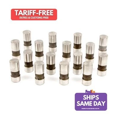 Sealed Power SEAHT969-16, Set of 16 Natural Steel Hydraulic Lifter Performance - Image 1 of 4