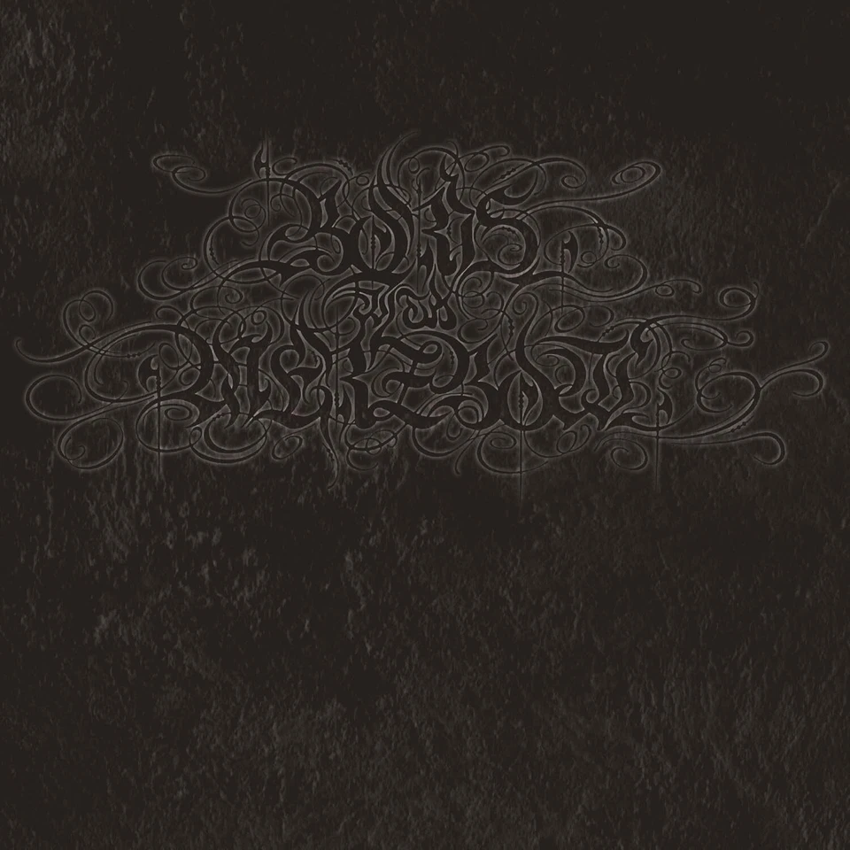 Boris with Merzbow 4092001 (Vinyl) 12" Album (US IMPORT) - Image 1 of 1