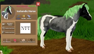 Wild Horse Islands - Blue Roan Tobiano, Icey Green ICELANDIC Horse - IUH - Bild 1 von 1