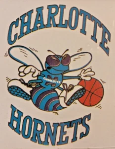 Charlotte Hornets Original Logo Photograph 6" x 6" W/ Picture Frame Basketball - Bild 1 von 4