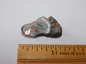 Rare Copper Replacement Agate - Keweenaw Peninsula Michigan -Copper-Banded Agate - Picture 1 of 4