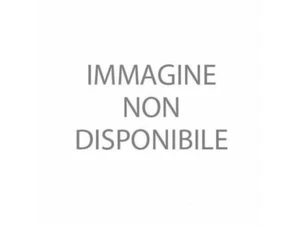 CREMAGLIERA CON STAFFE 350 MM MINGARDI 2700500 AUTOMAZIONE AUTOMATISMI ORIGINALE - Imagen 1 de 1