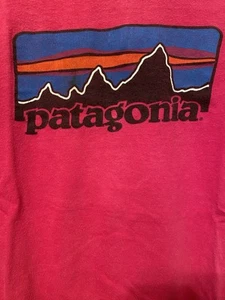 Vintage Patagonia T-Shirt Mens L Single Stitch 80s USA - Picture 1 of 5