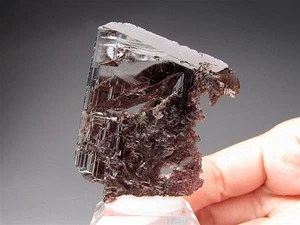 Axinite, Ras Koh Mtns., Kharan Dist., Pakistán - Imagen 1 de 7