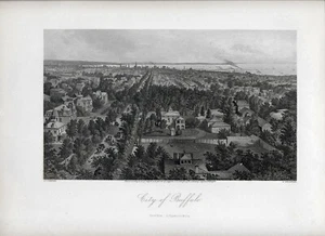 CITY OF BUFFALO, NEW YORK; original steel engraving by A C Warren 1872 - Picture 1 of 1