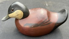 Ruddy Duck By Ron Fisher 