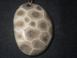 Unpolished Petoskey Stone Pendant - Picture 1 of 3