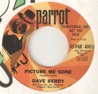 scan Dave Berry Picture Me Gone Parrot Promo Evie Sands  Usa 45