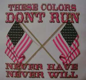 CAMISA ALL AMERICAN OUTFITTERS THESE COLLORS DON'T RUN NEVER HAVE NEVER WILL #882 - Imagen 1 de 5