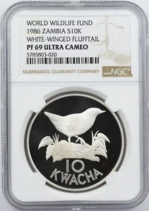 ZAMBIA 1986 SILVER 10 KWACHA COIN WWF FLUFFTAIL BIRD NGC PF69 UCA - Picture 1 of 2