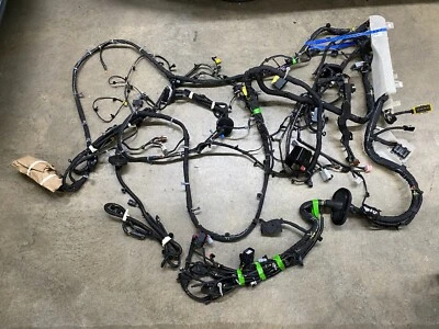 GMC Terrain 2019 carrocería de vehículo arnés de cableado conjunto de telar nuevo 84550452 Foto 1 de 4