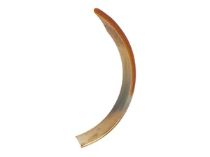 Five (5) Large Beaver Teeth (174-300-L) Y2J - Picture 1 of 2